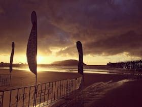 Ocean Swims Sunrise