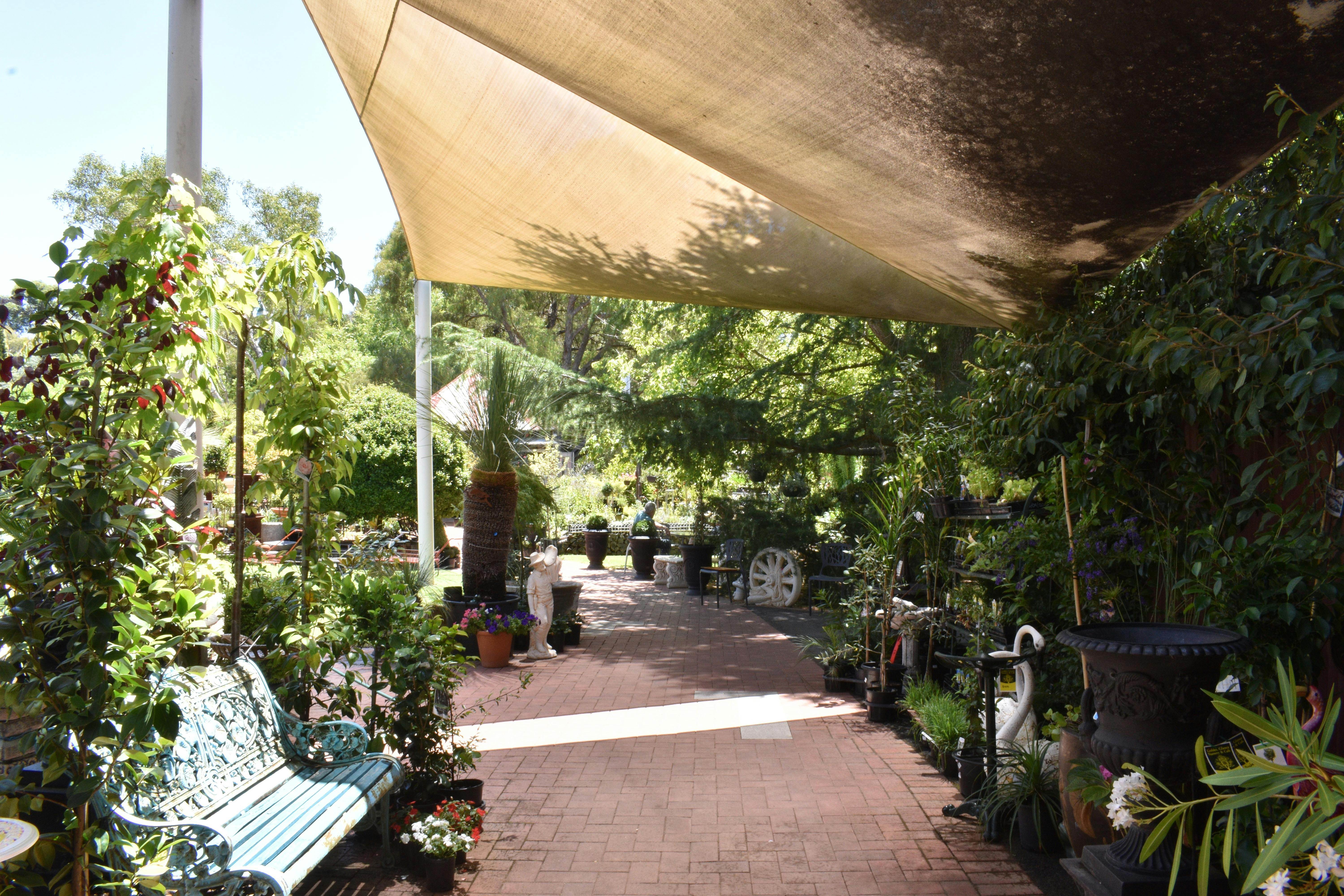 ゴールデン グランス ナーサリー