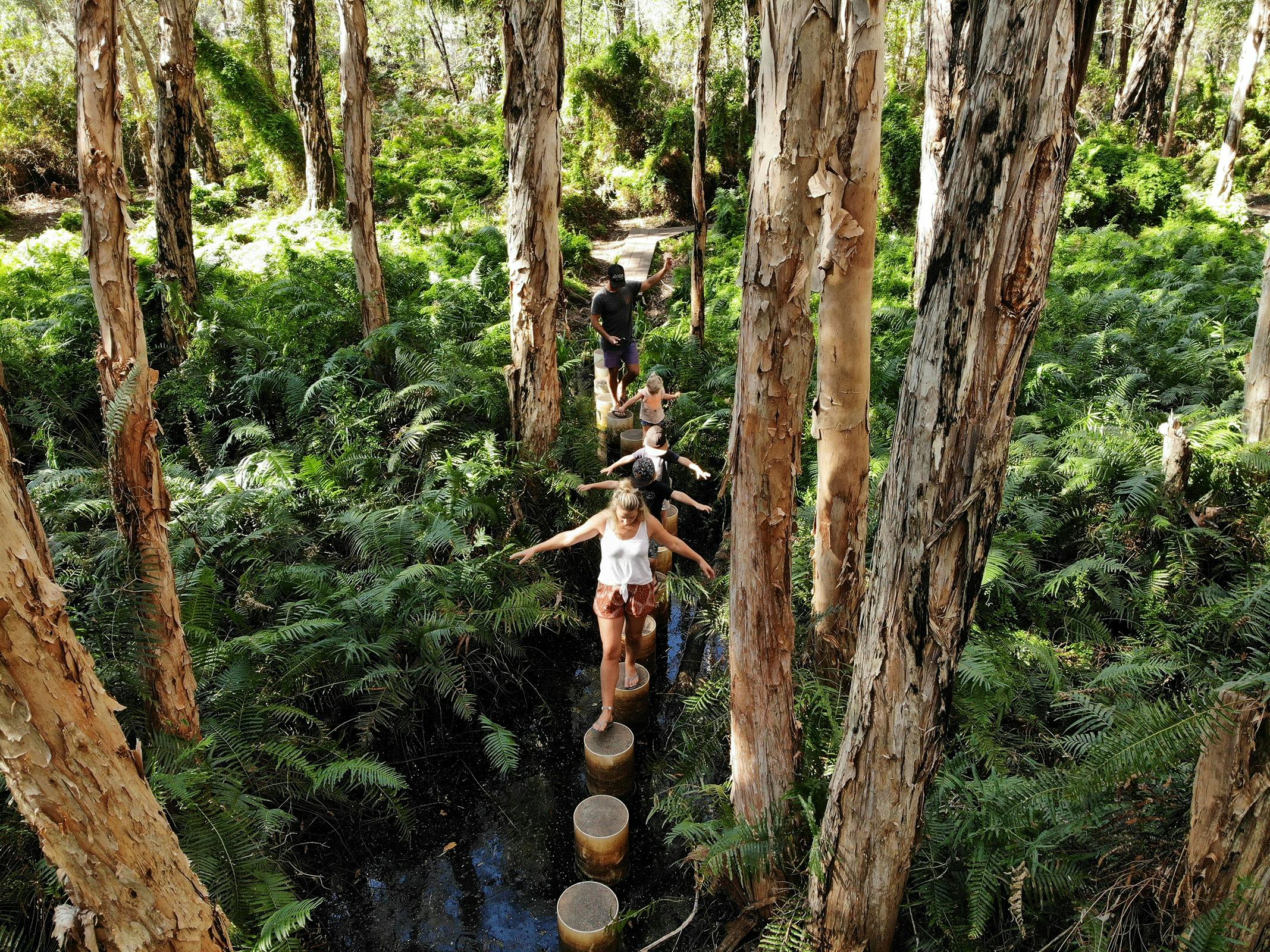 Paperbark Trail