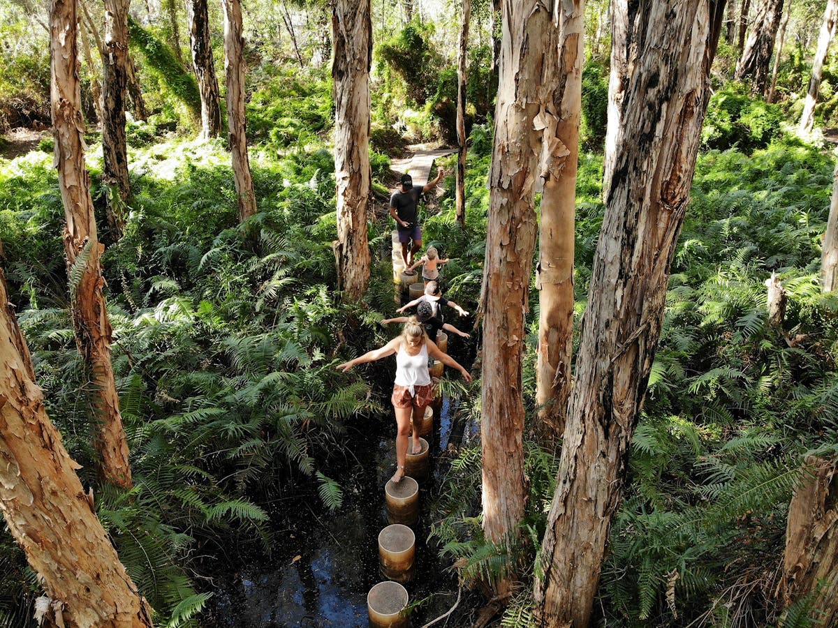 Paperbark Trail Paperbark Trail