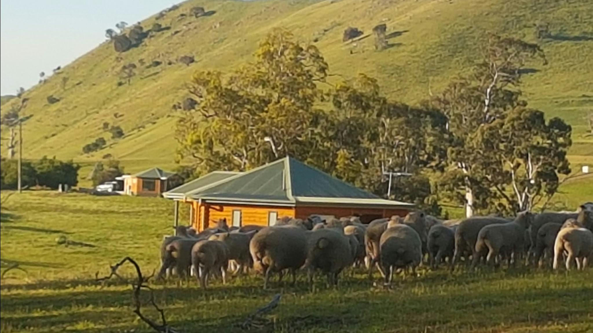 Farmstay Accommodation
