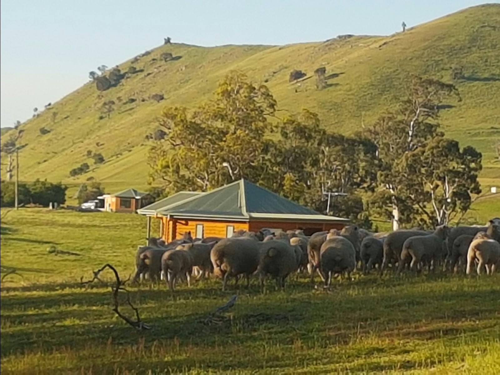 Farmstay Accommodation