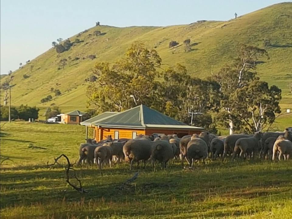 Farmstay accommodation