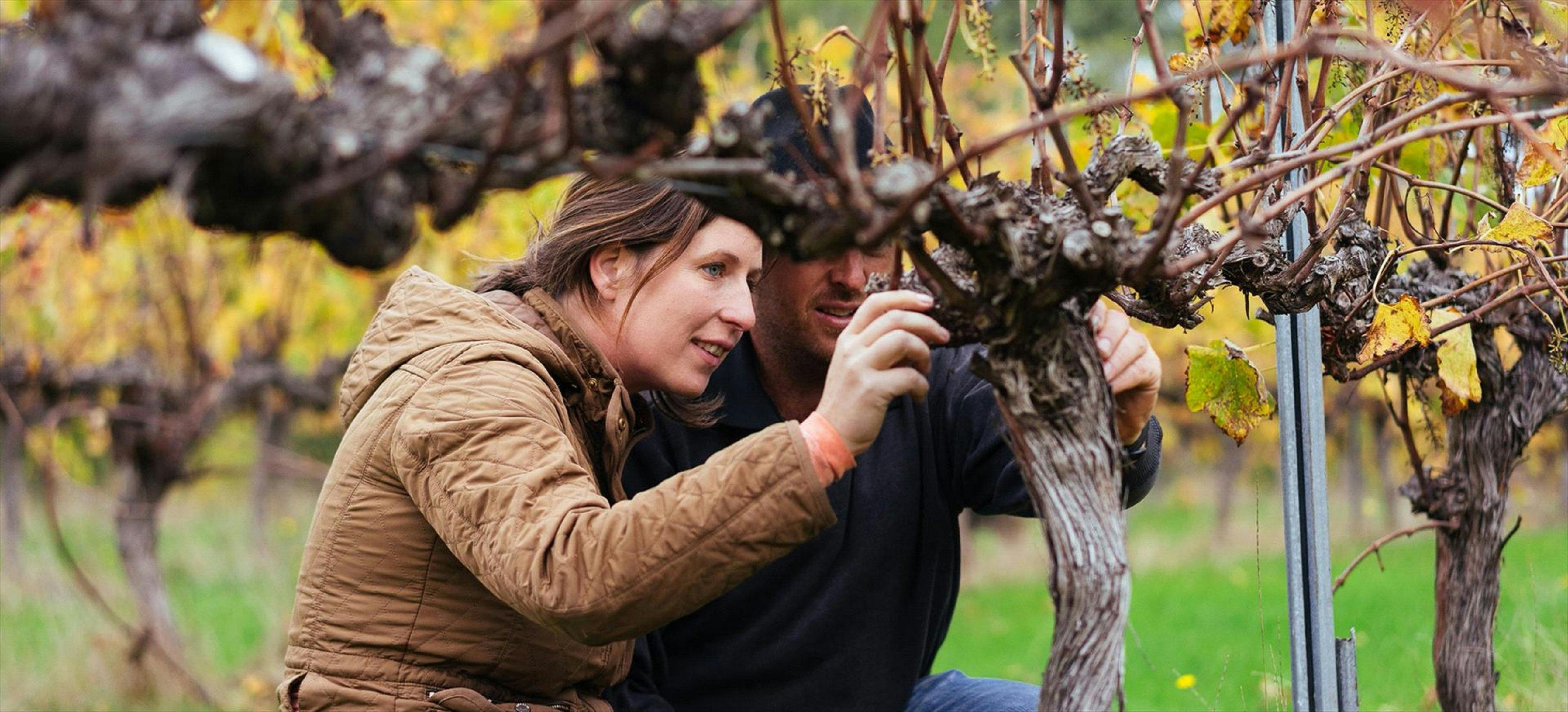 Glenarty Road Wines Margaret River