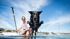 WATSSUP, stand up paddling, Sydney Harbour
