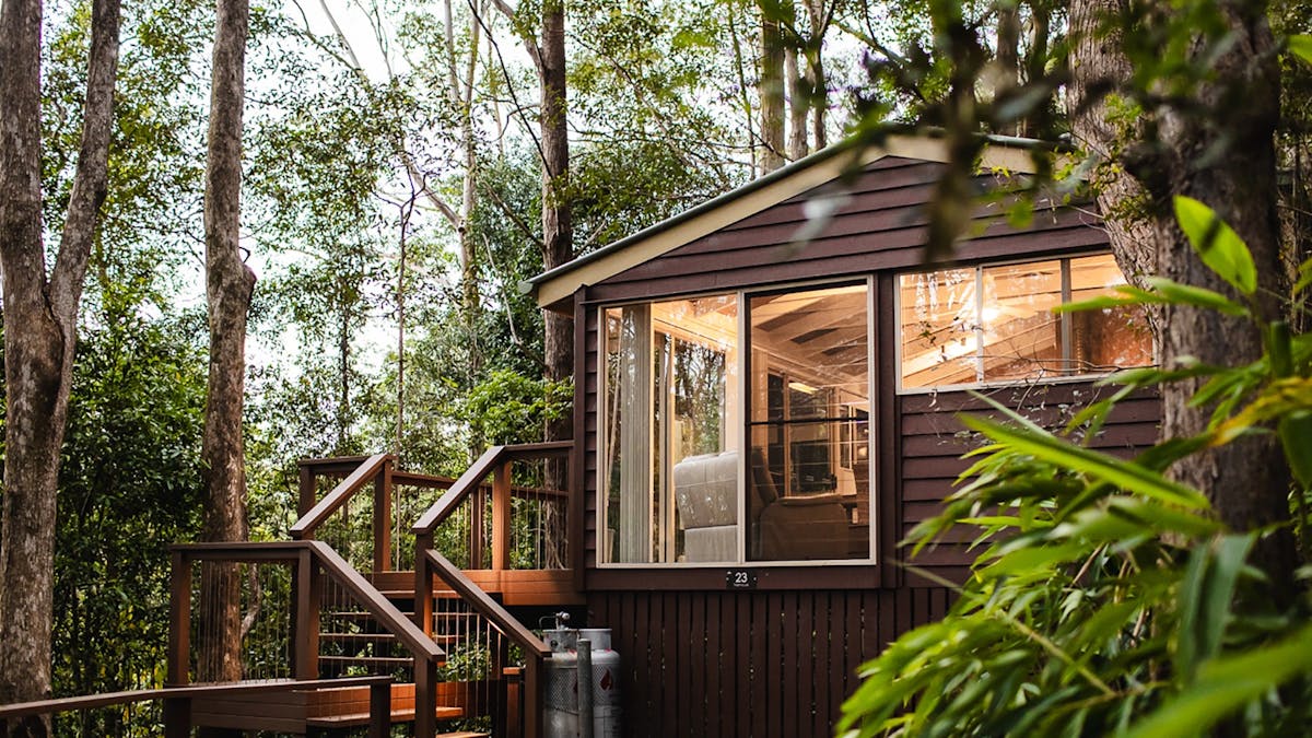 Rainforest Cabin at Kondalilla Eco Resort