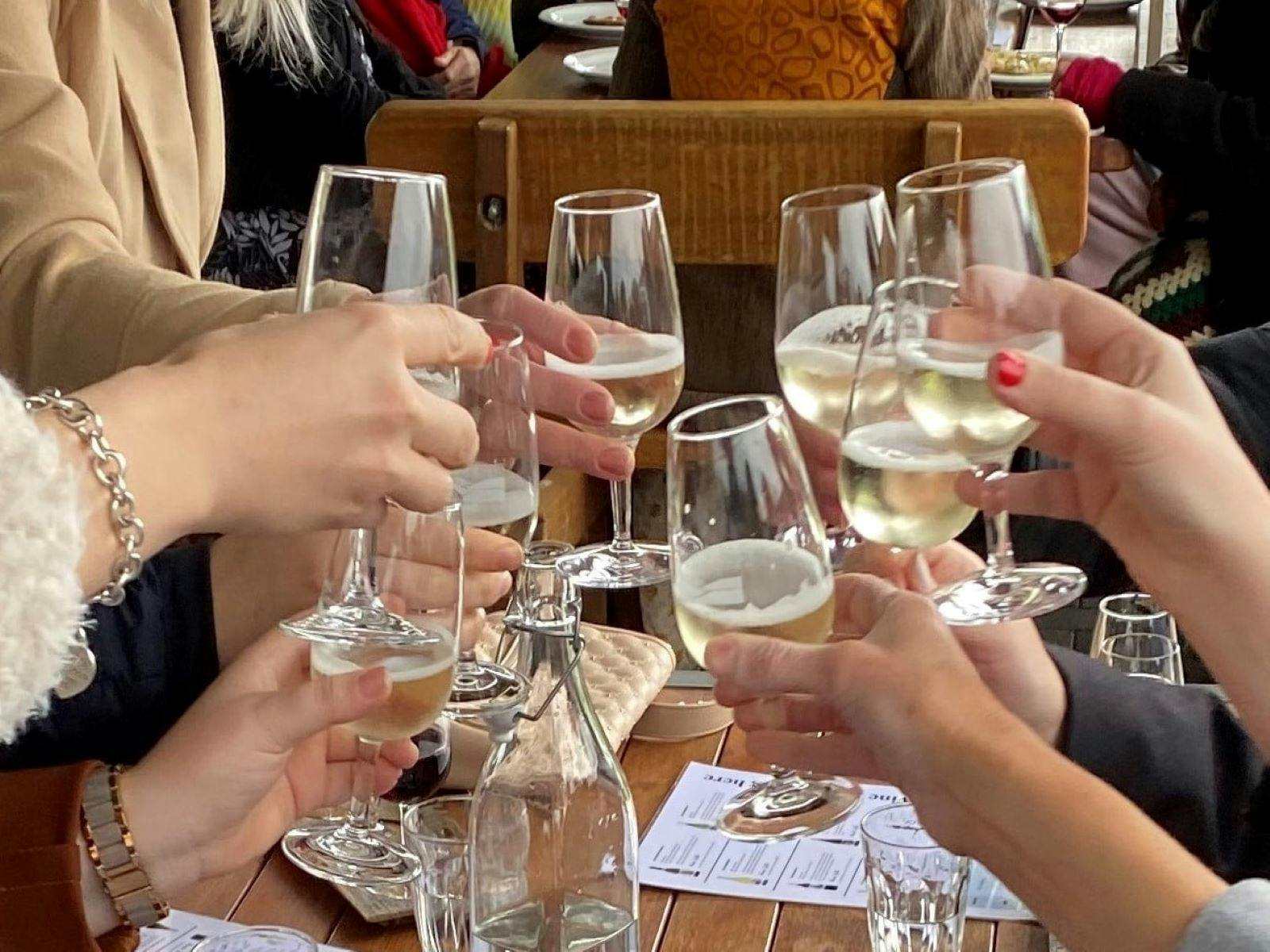 Vines & Wines Canberra Wine Tours hero image