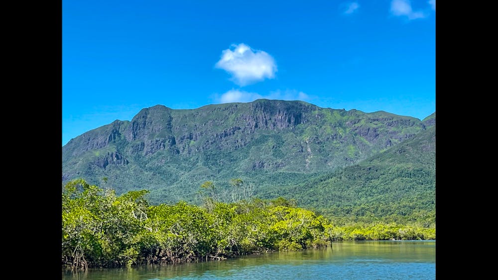 Hinchinbrook Eco Experience