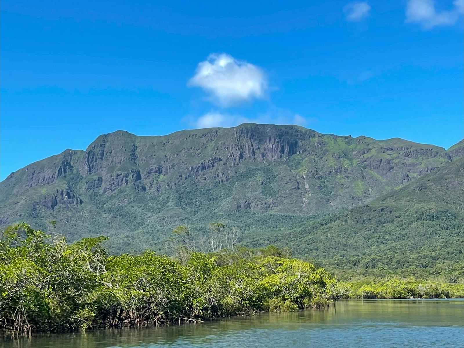 Unrivaled panoramic views of Hinchinbrooks mtns at nearly 200 mtres tall and green & great pics