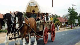 The Trek Wagon Walla Walla