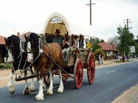 The Trek Wagon Walla Walla