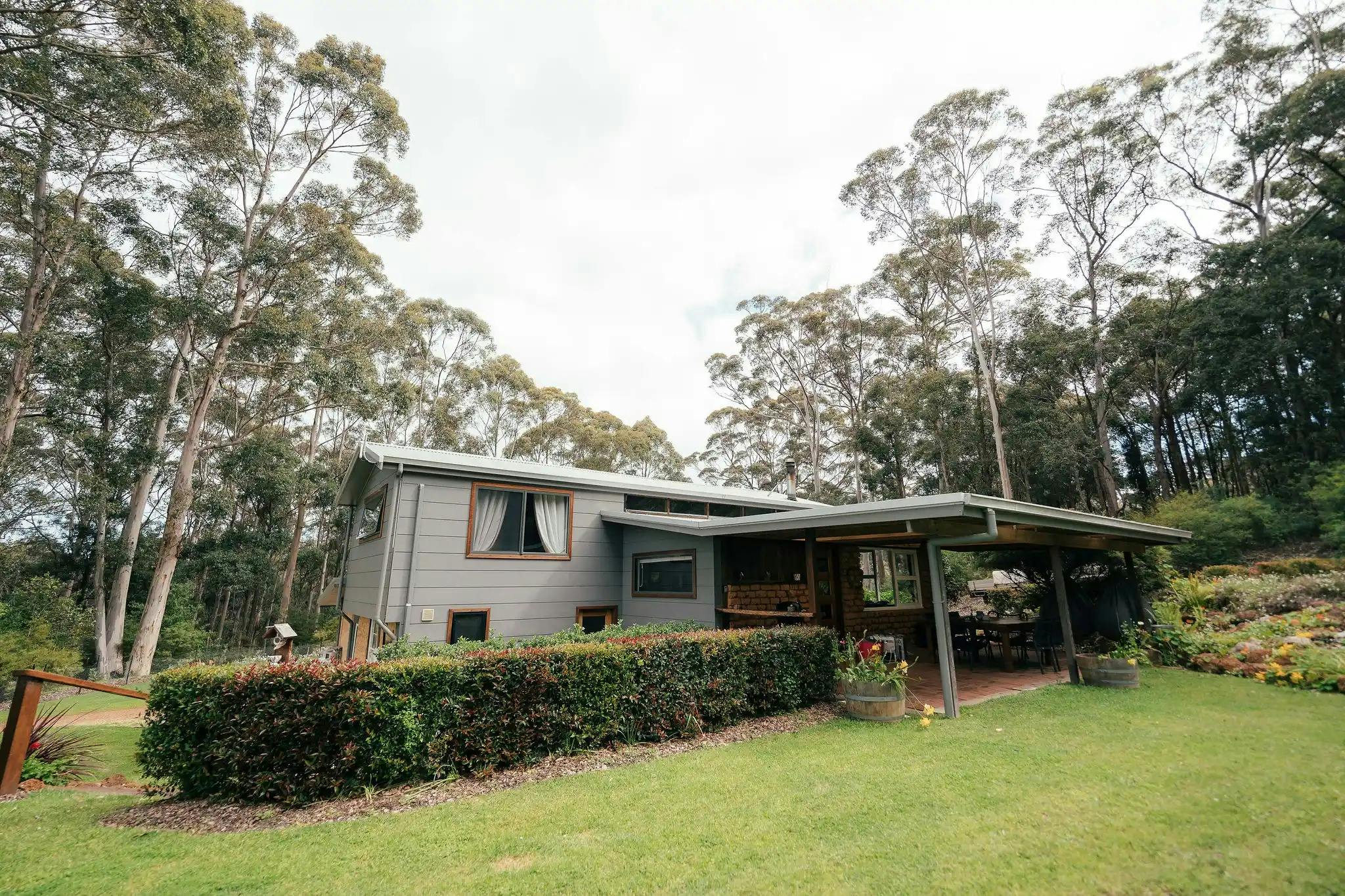 Jarrah
