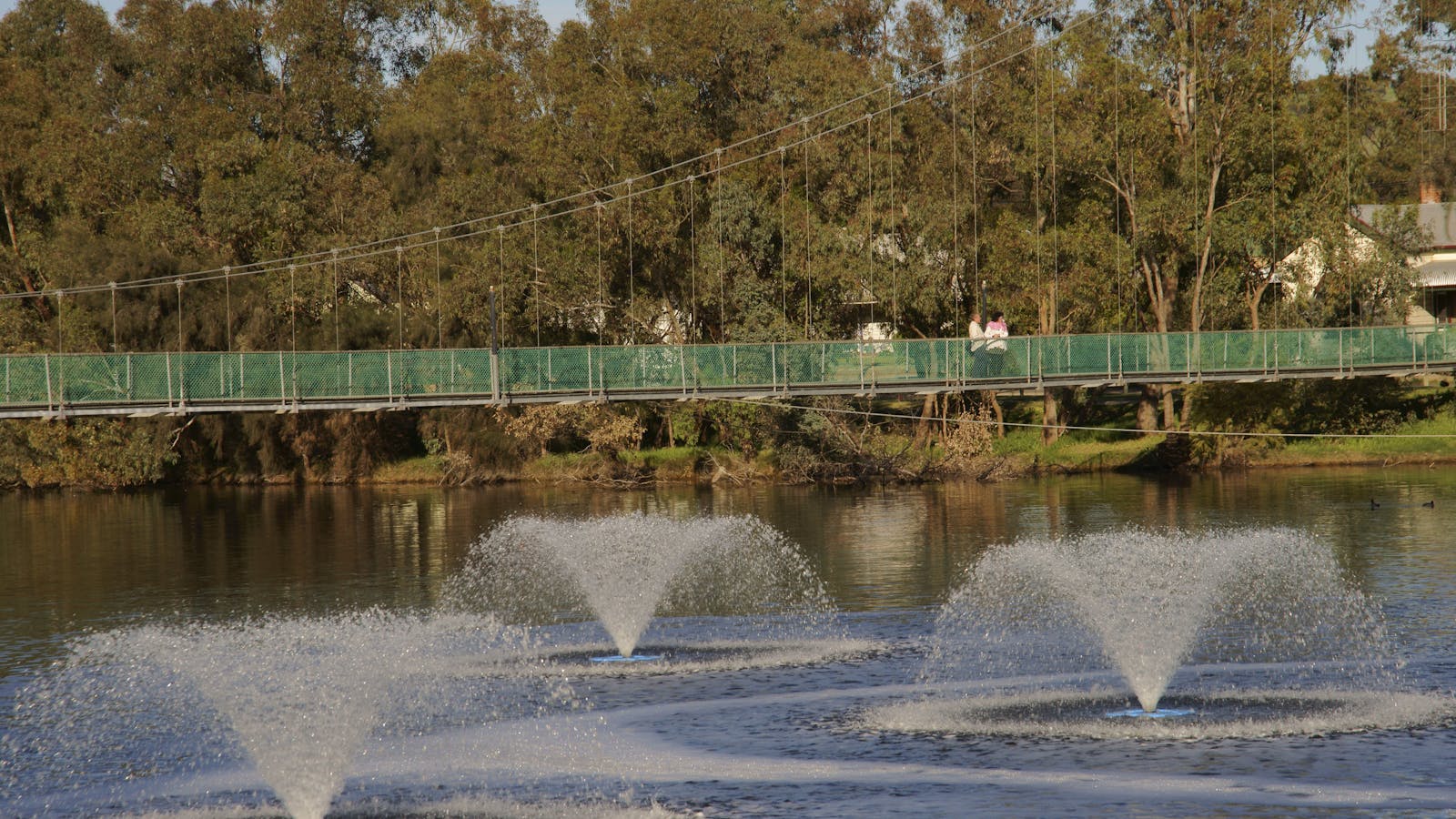 Suspension Bridge