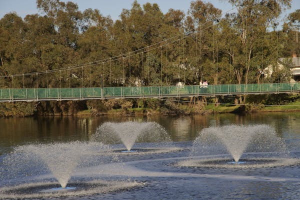 Suspension Bridge