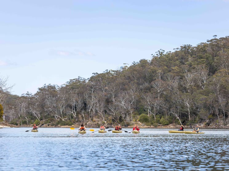 Guests kayaking the Pambula River