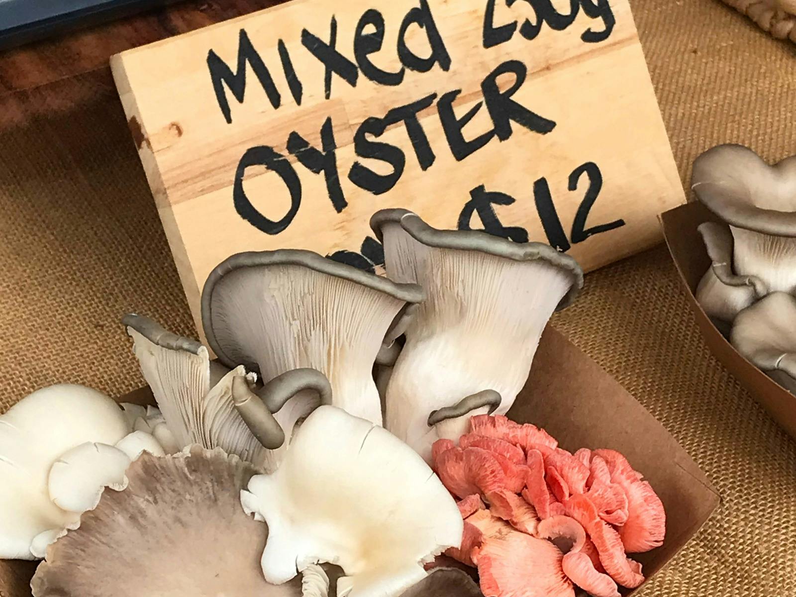 Growsers Market visit