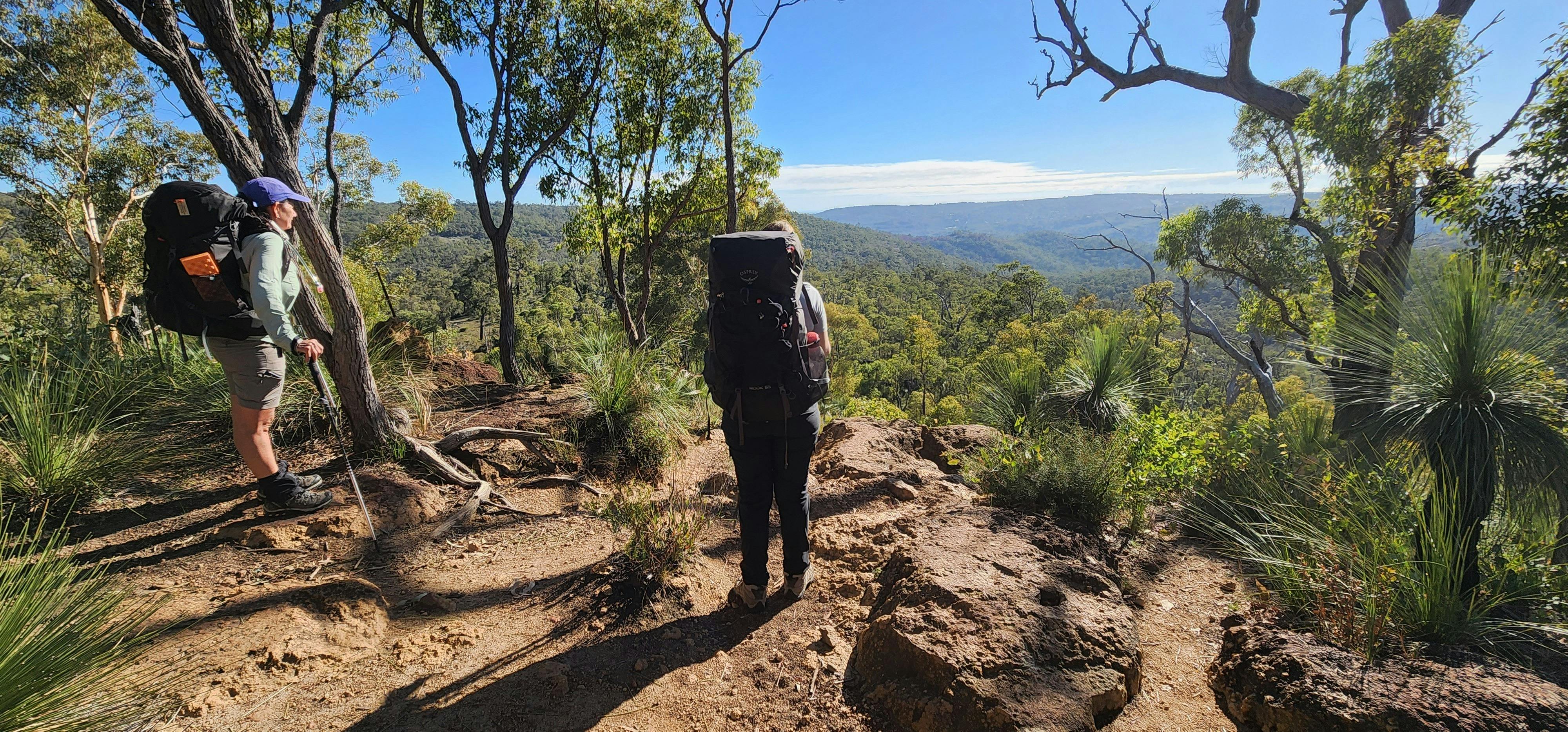 Two hikers standing on the top of a tall trail looking out at the view of an Australian forest