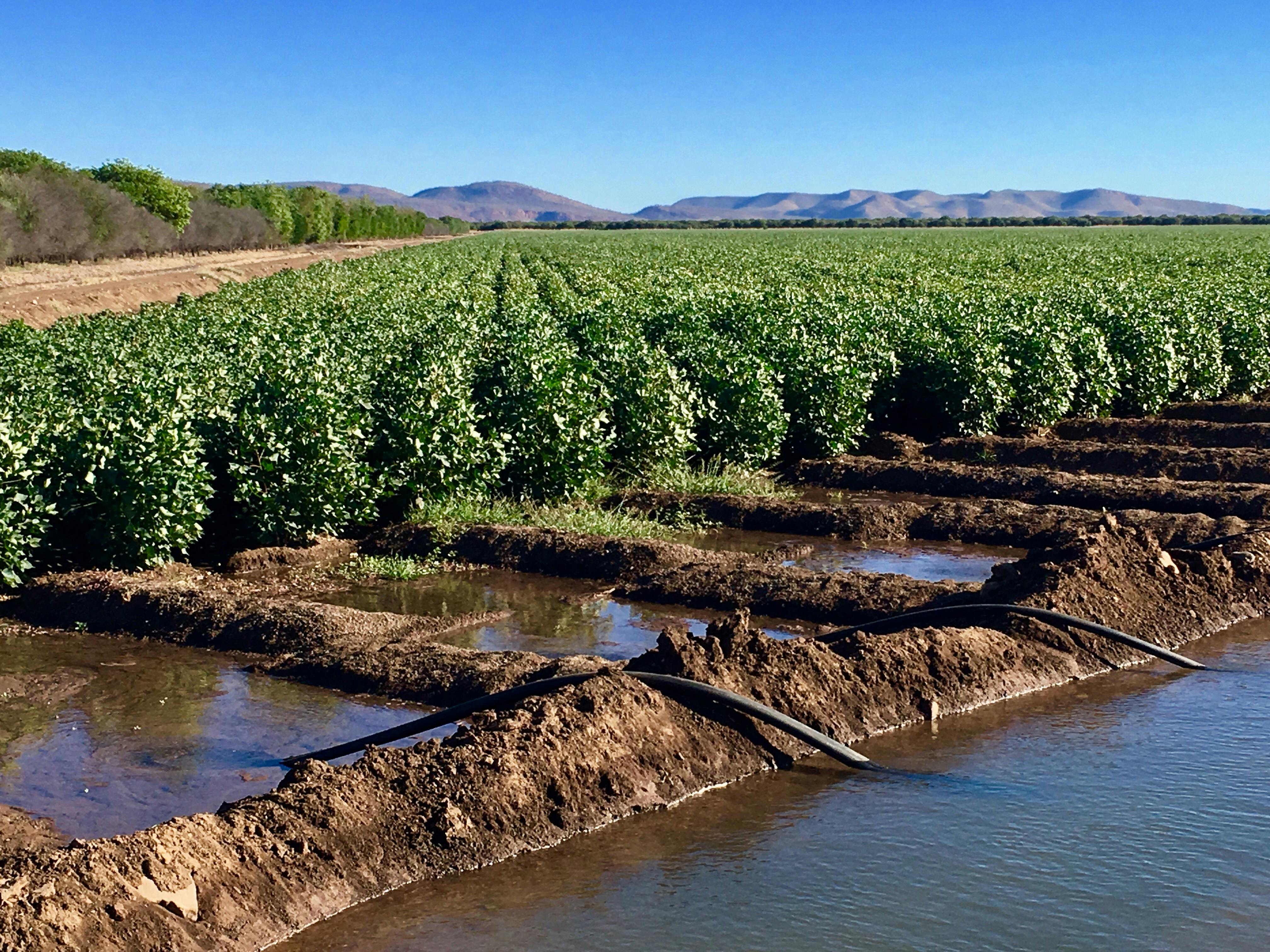 HOT Tours, Kununurra, Western Australia