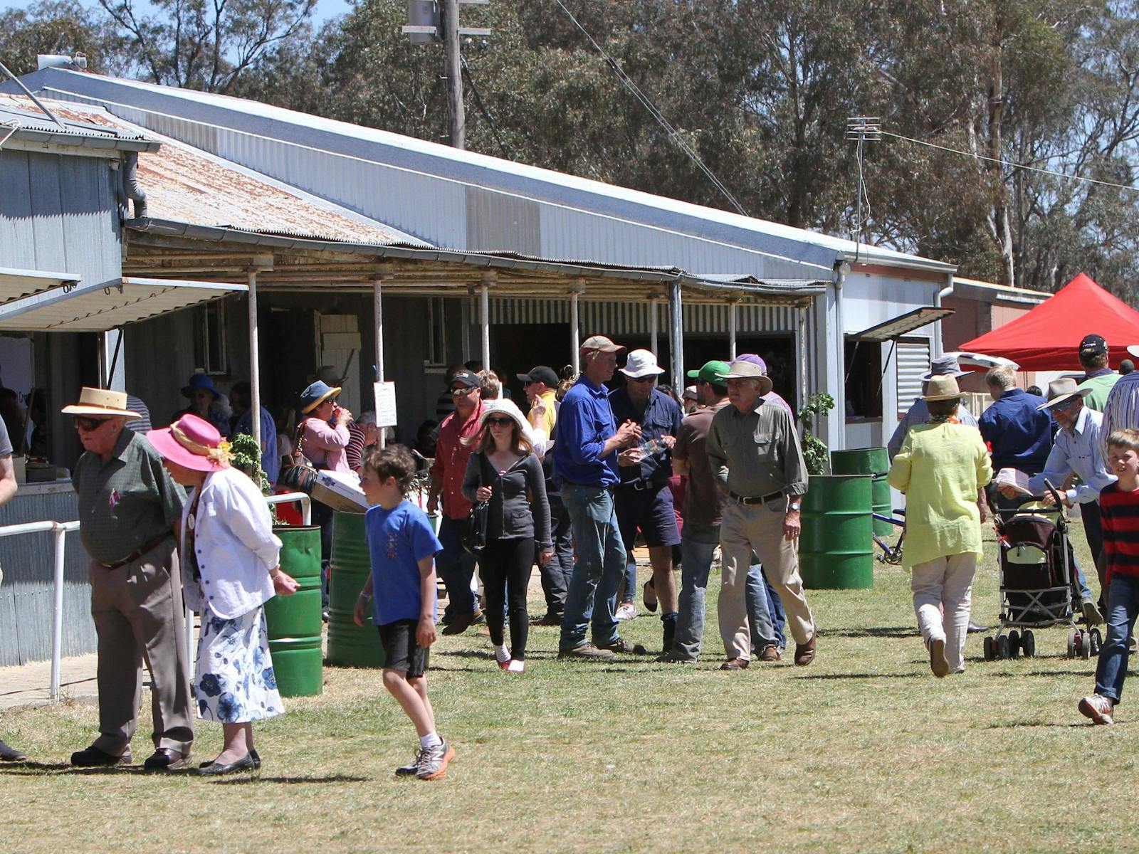 Image for Illabo Show