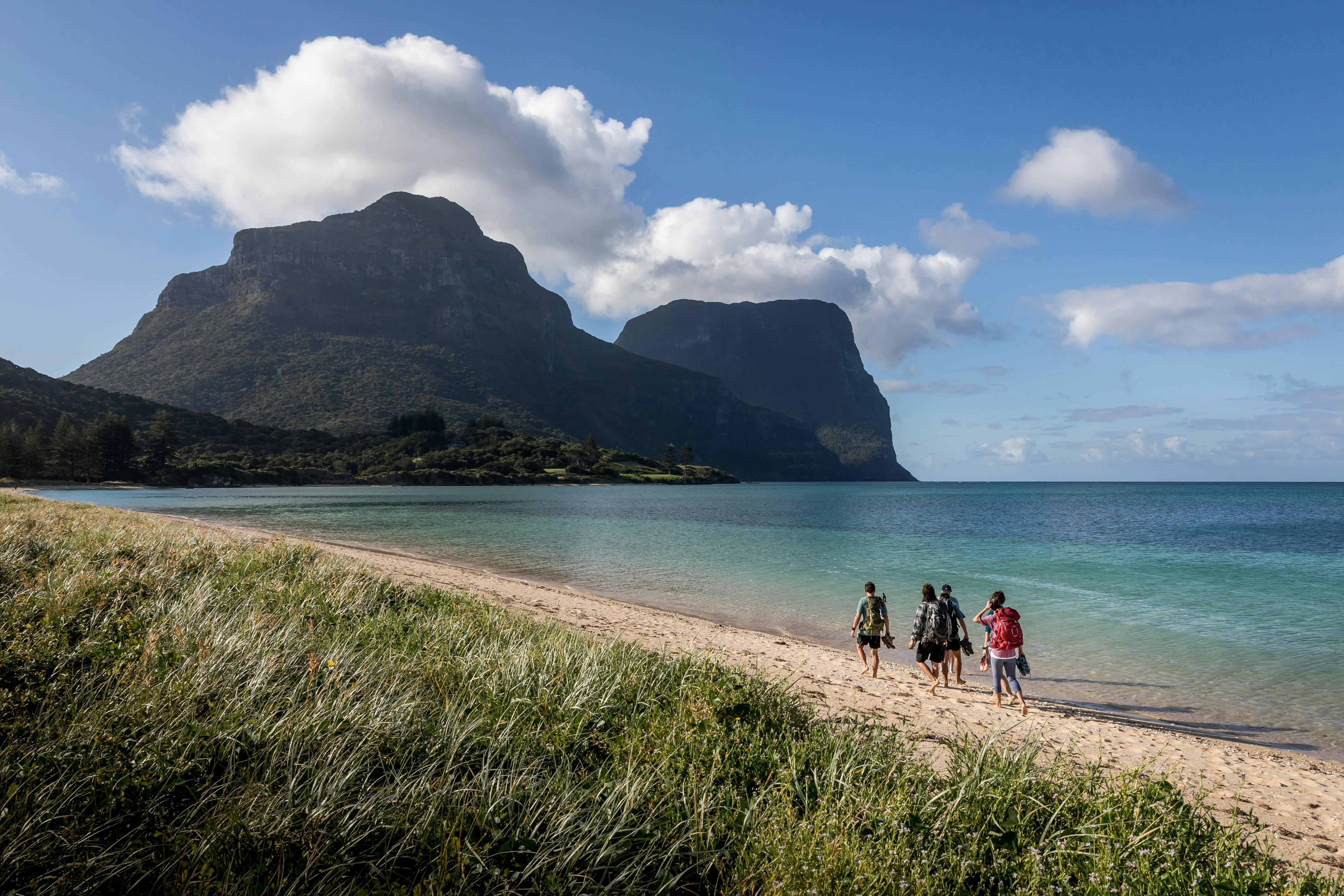 Seven Peaks Walk Pinetrees Lord Howe Island