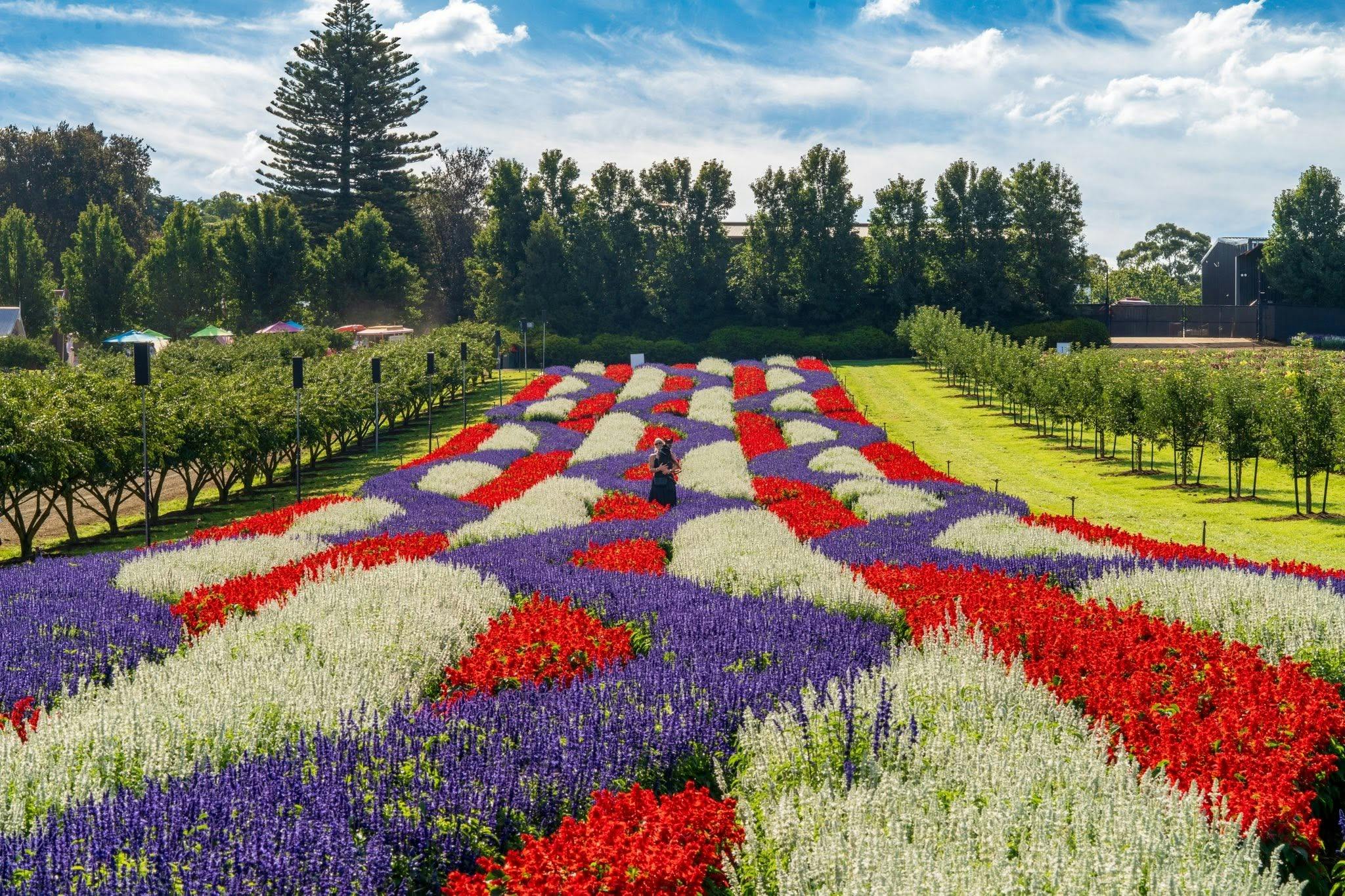 KaBloom Flower Fields