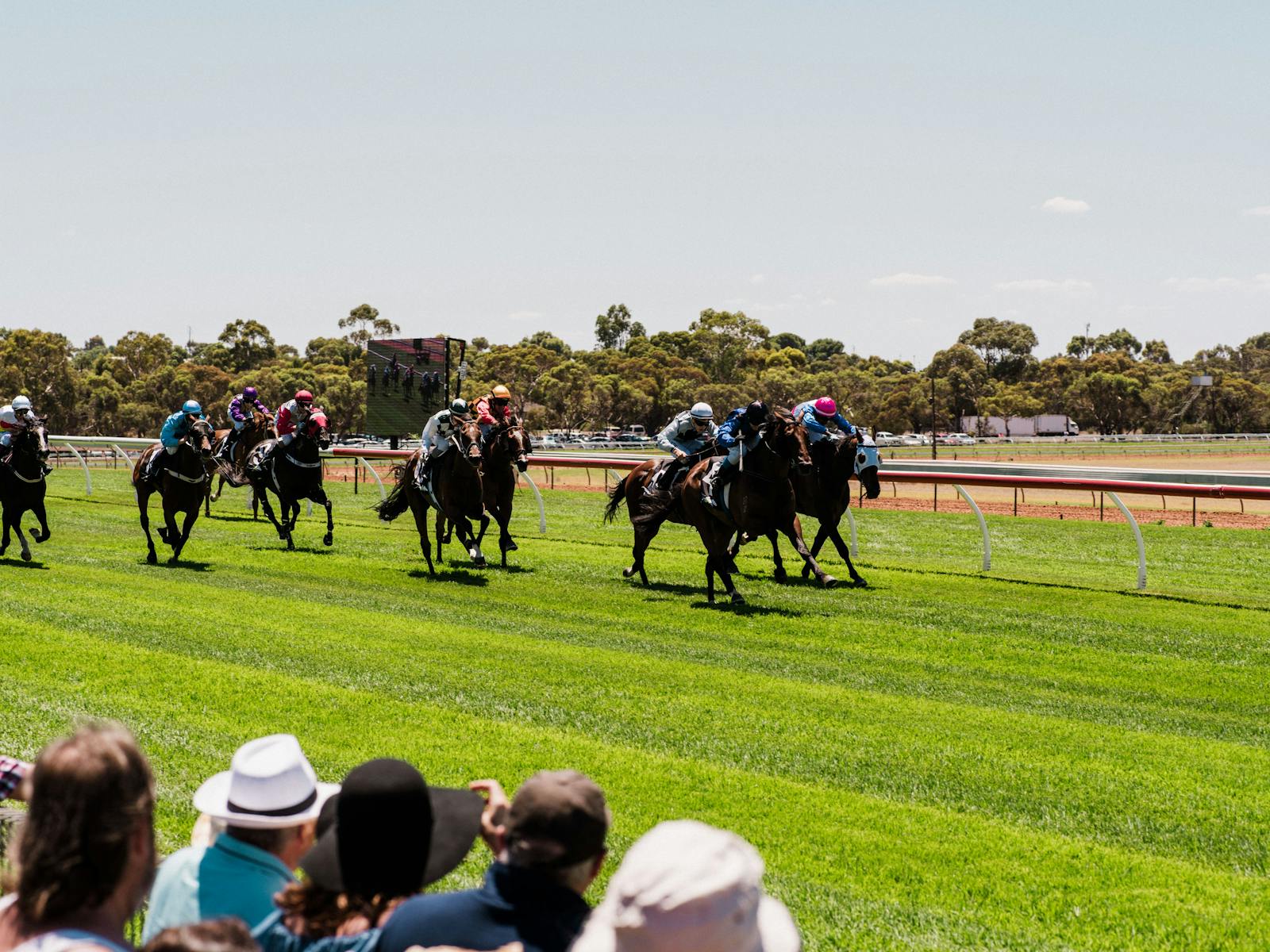 Image for Strathalbyn Race Day