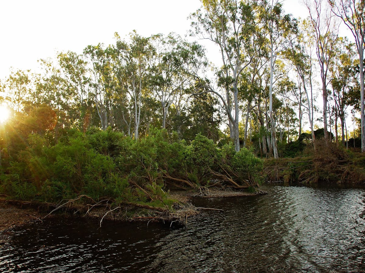 Dee River, Dululu