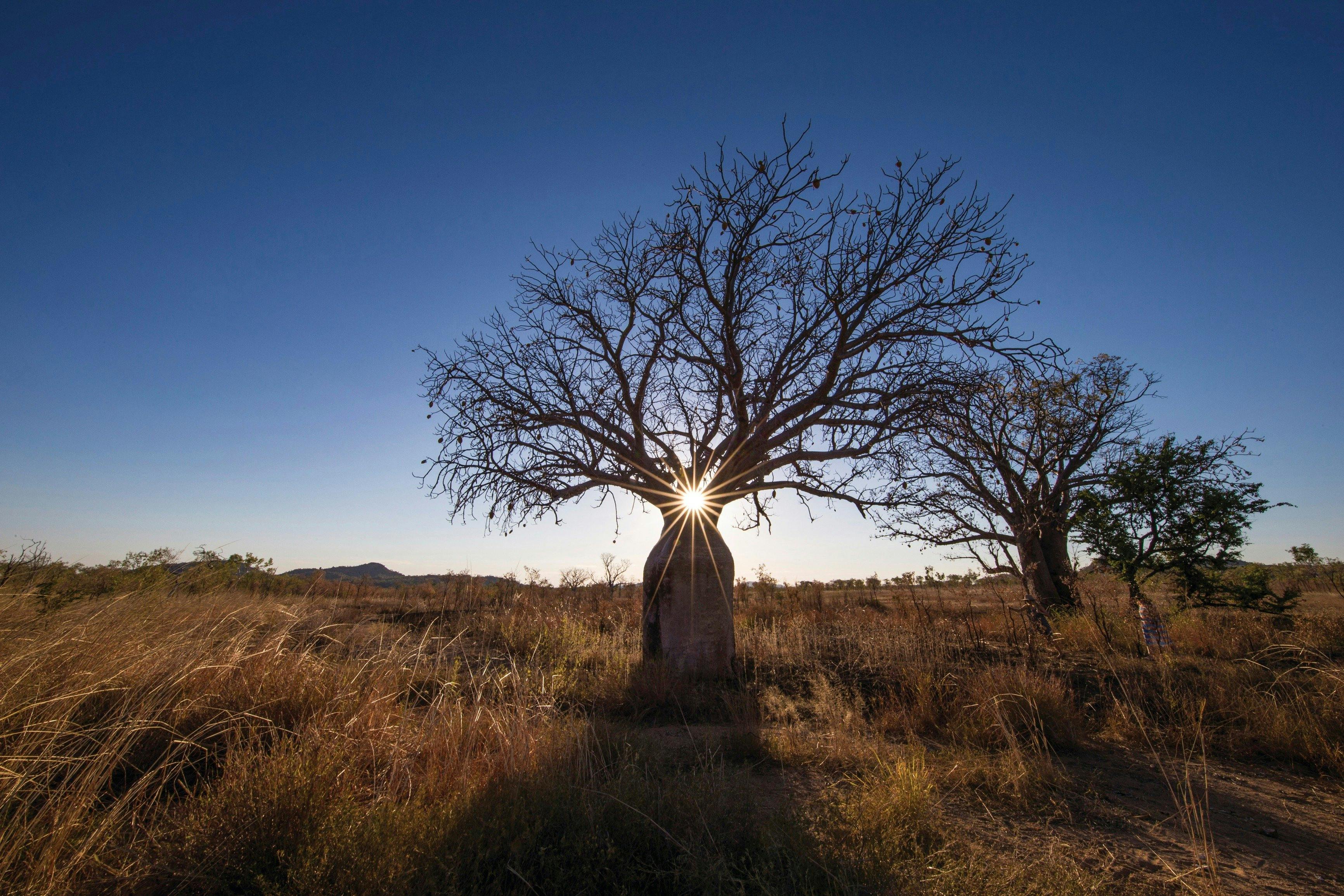 Kununurra, Western Australia