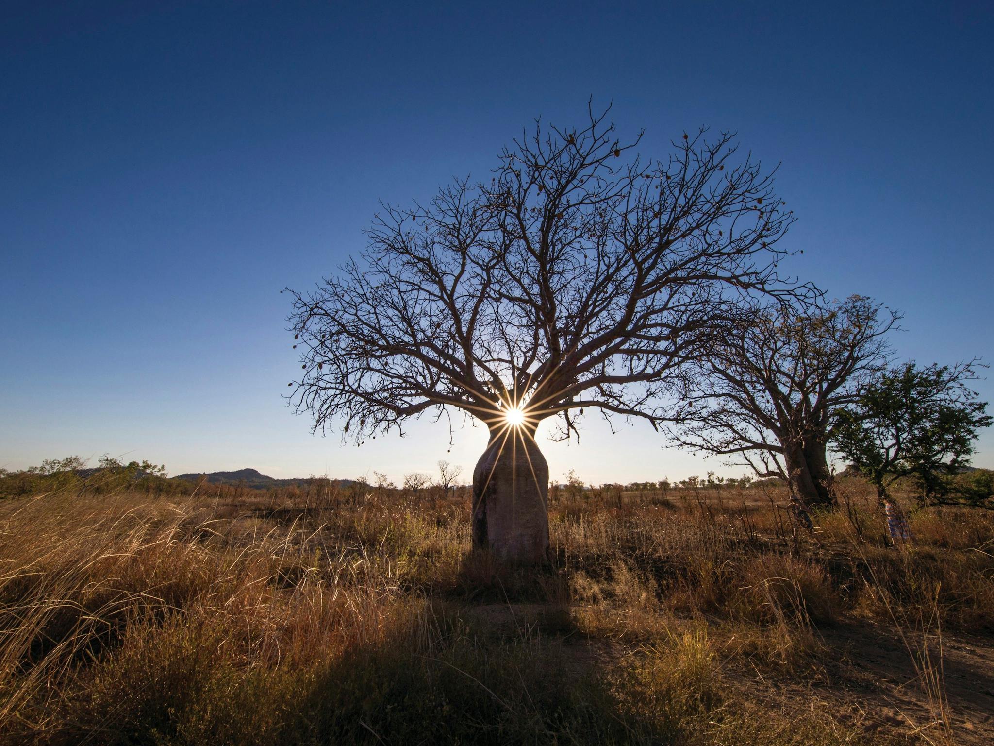 Kununurra, Western Australia
