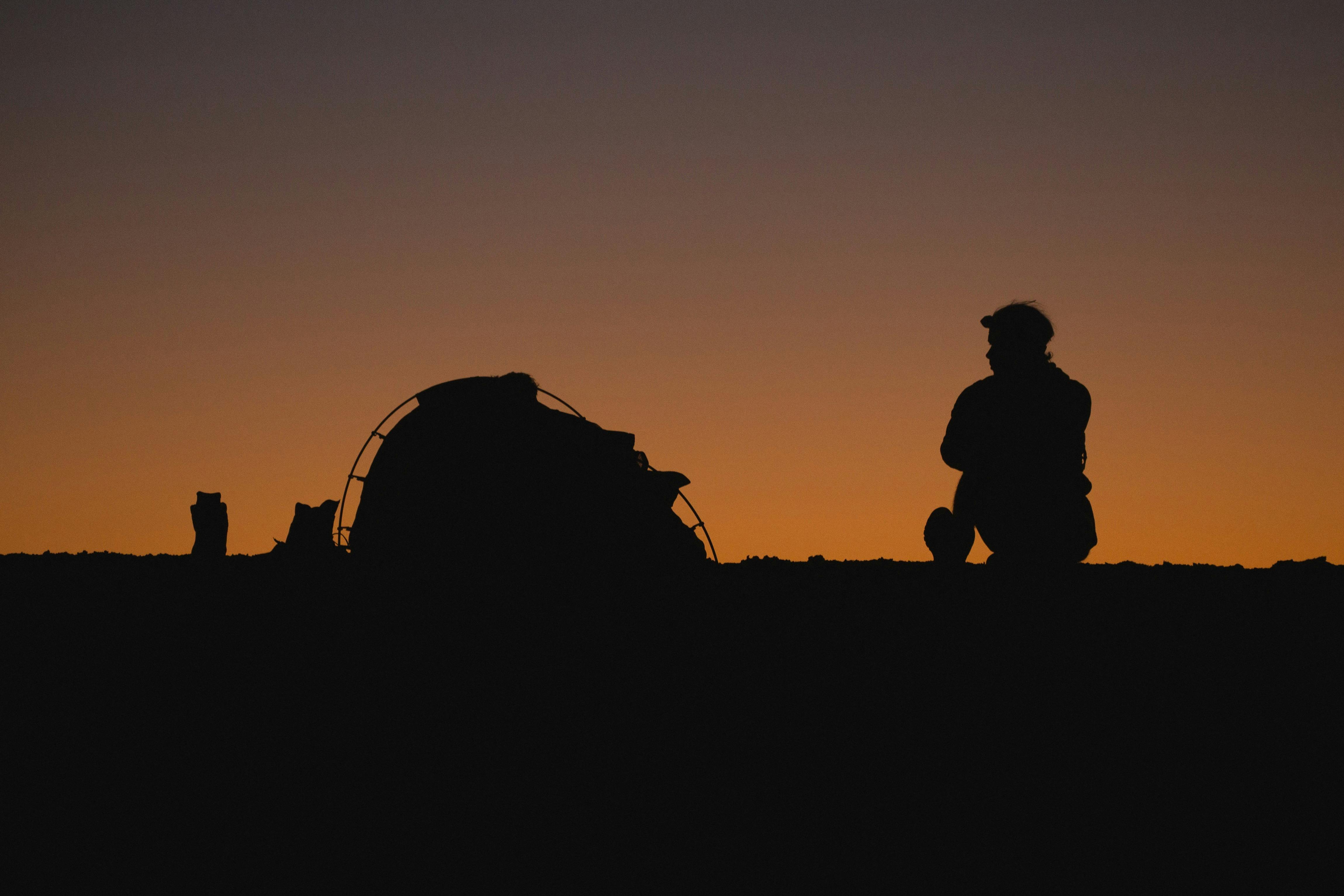 Camel Treks Australia Outback Safaris