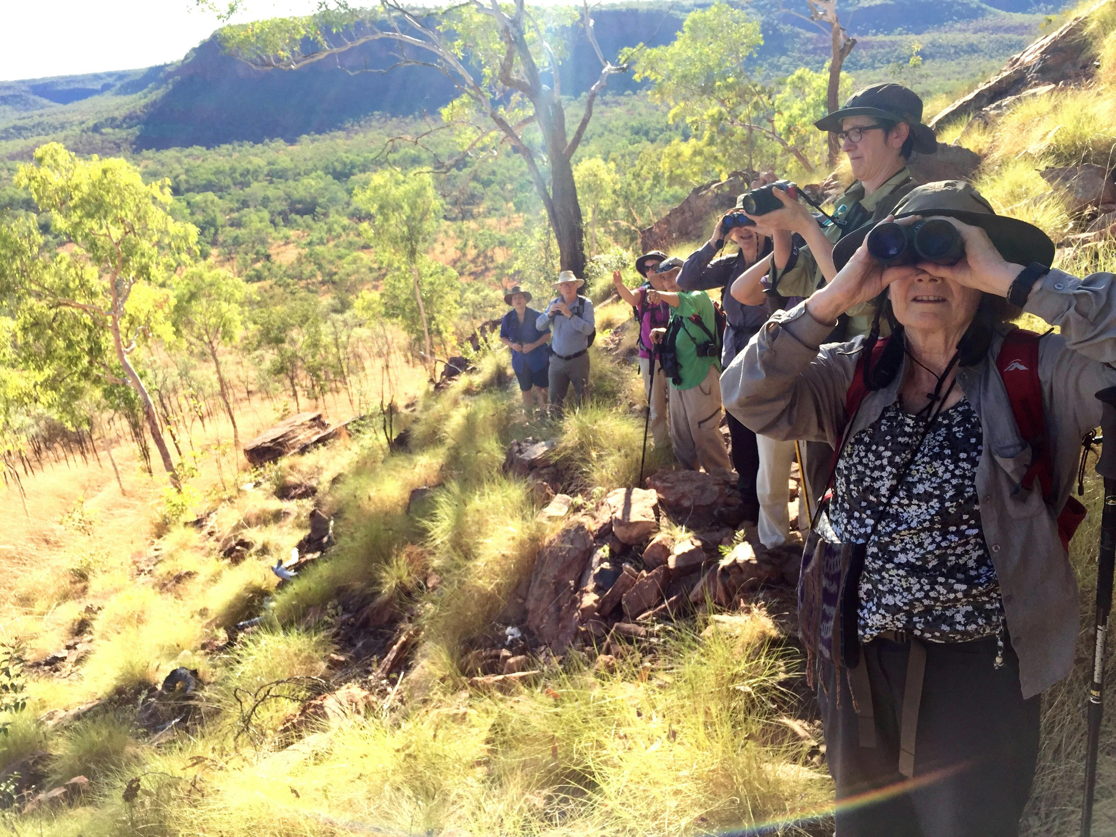 Private birdwatching tours