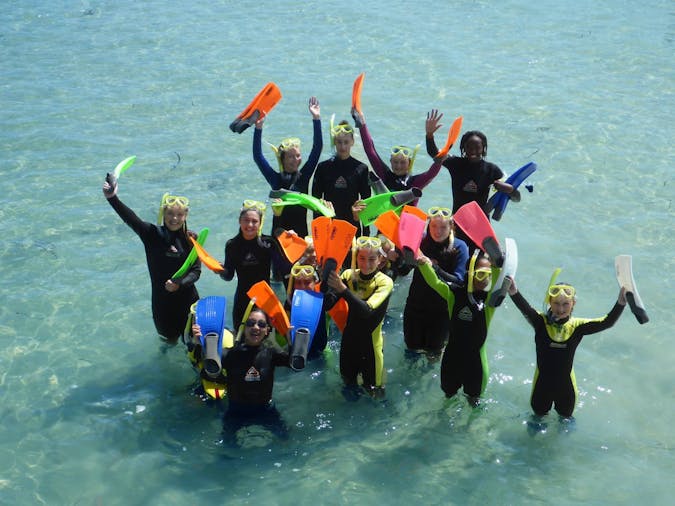 Sea Surf and Wildlife