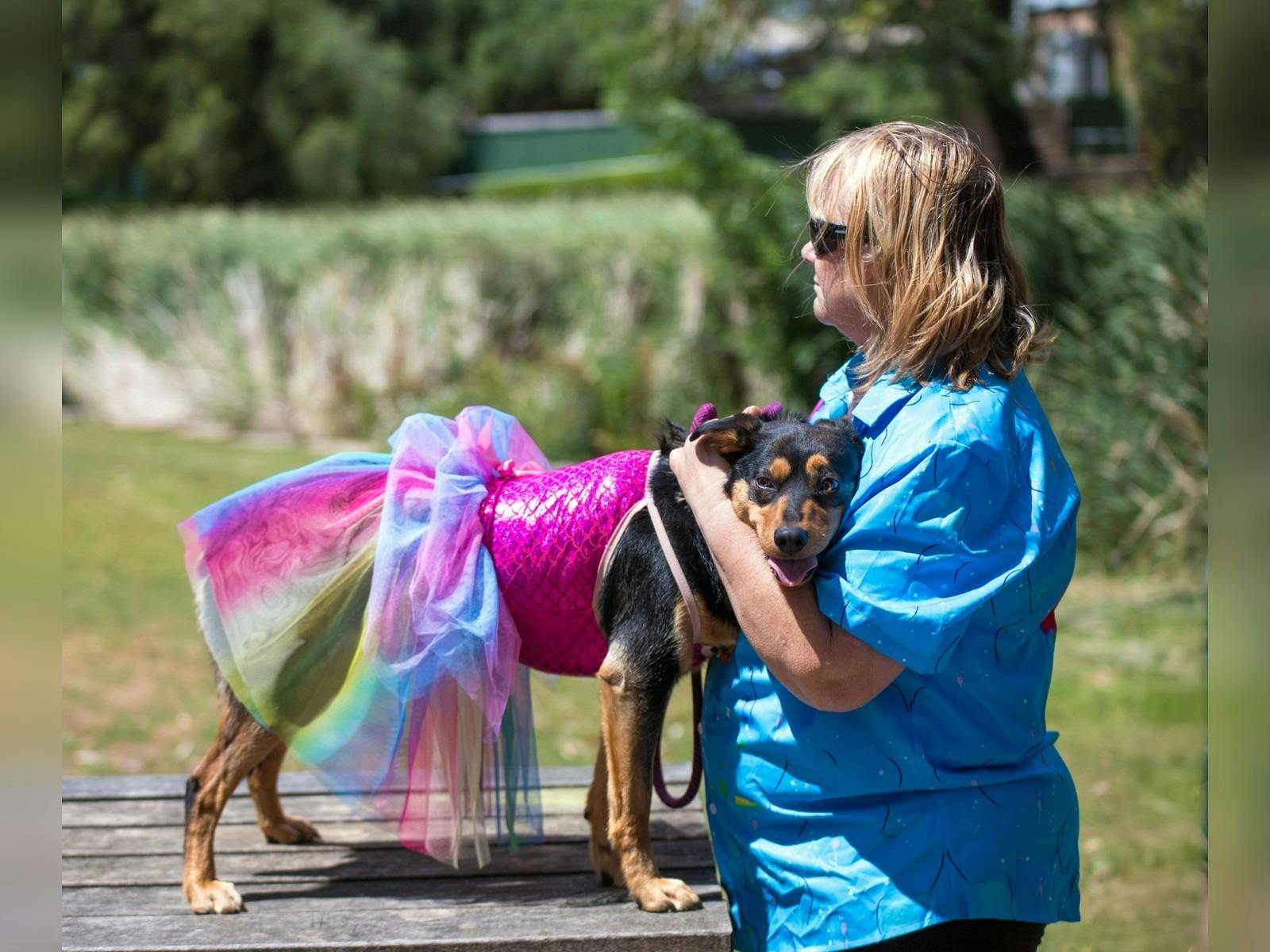 The Burra Pride Best Dressed Dog Show is always a crown favourite!