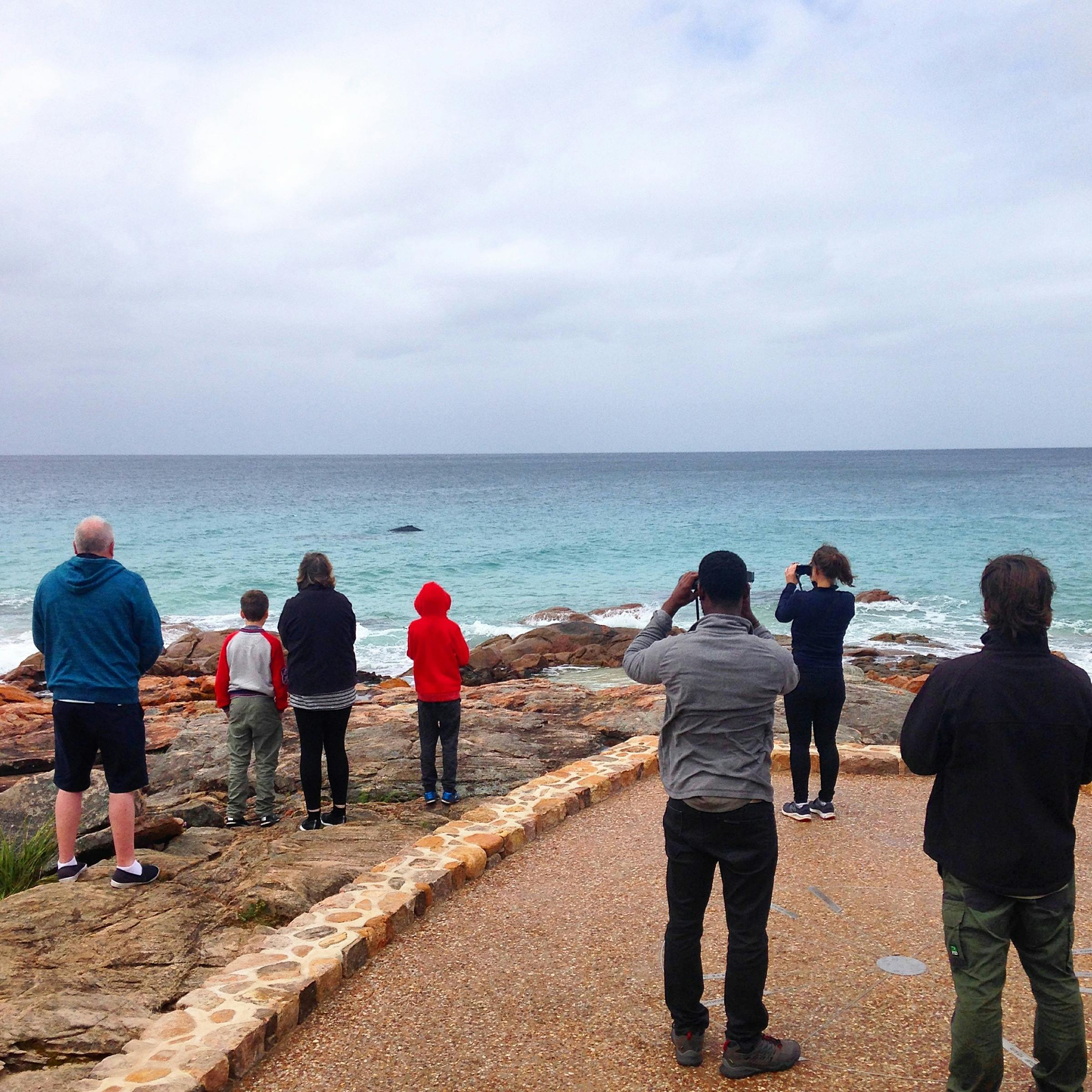 South West Eco Discoveries, Busselton, Western Australia