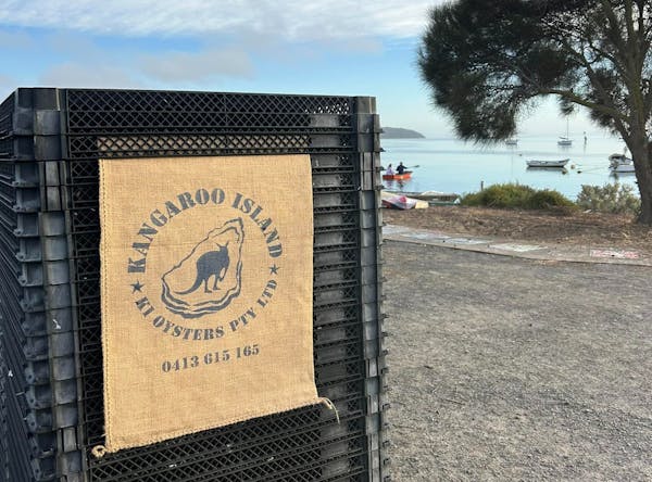 Kangaroo Island Oysters