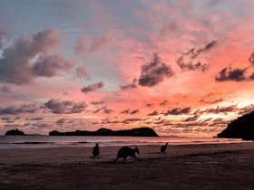 Hibiscus Coast