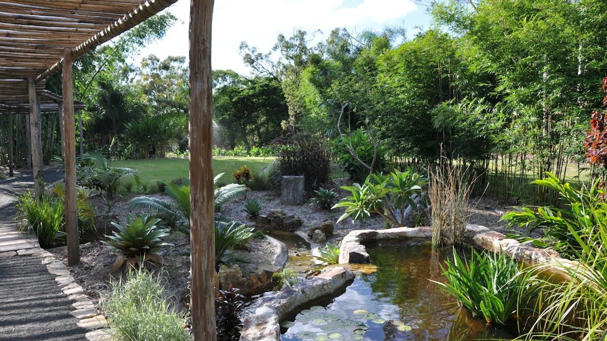 Creek garden
