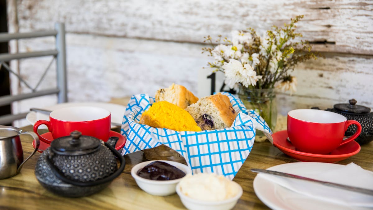 Delicious scones with jam and cream. Large range of teas to choose from.
