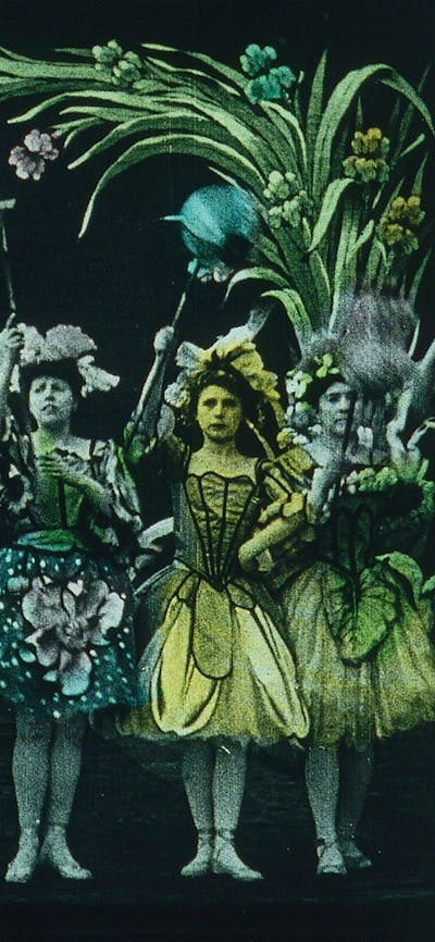 Animation of a group of women standing in a line wearing pretty dresses