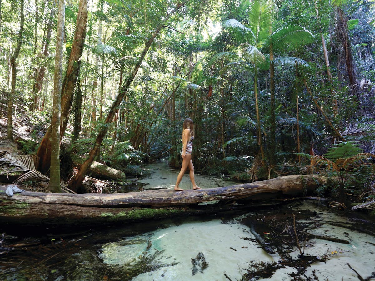 Of Natural Images Of Natural Images
