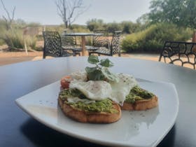 Smashed Avo for Breakfast at the Australian Arid Lands Botanic Garden