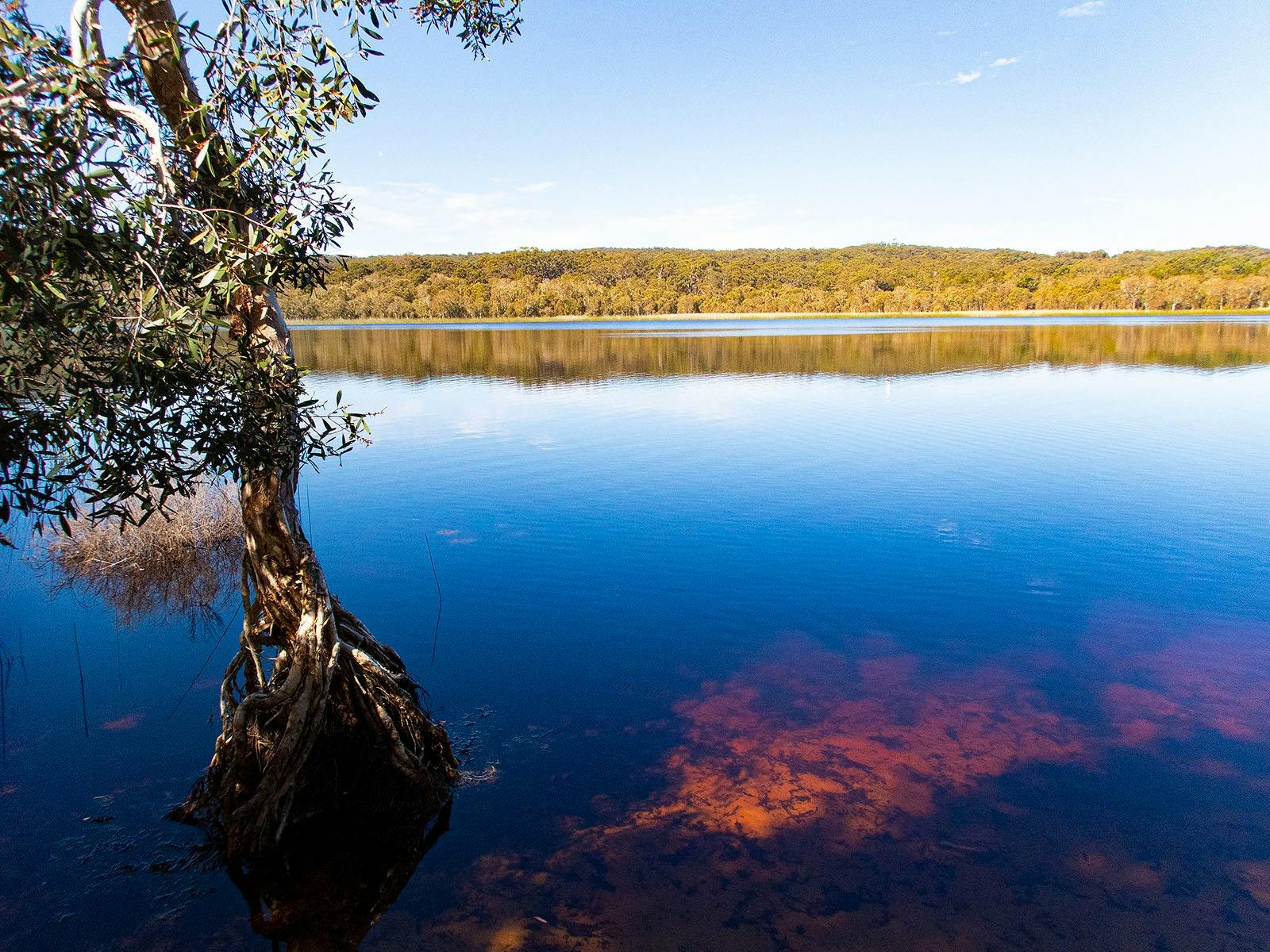 Brown Lake