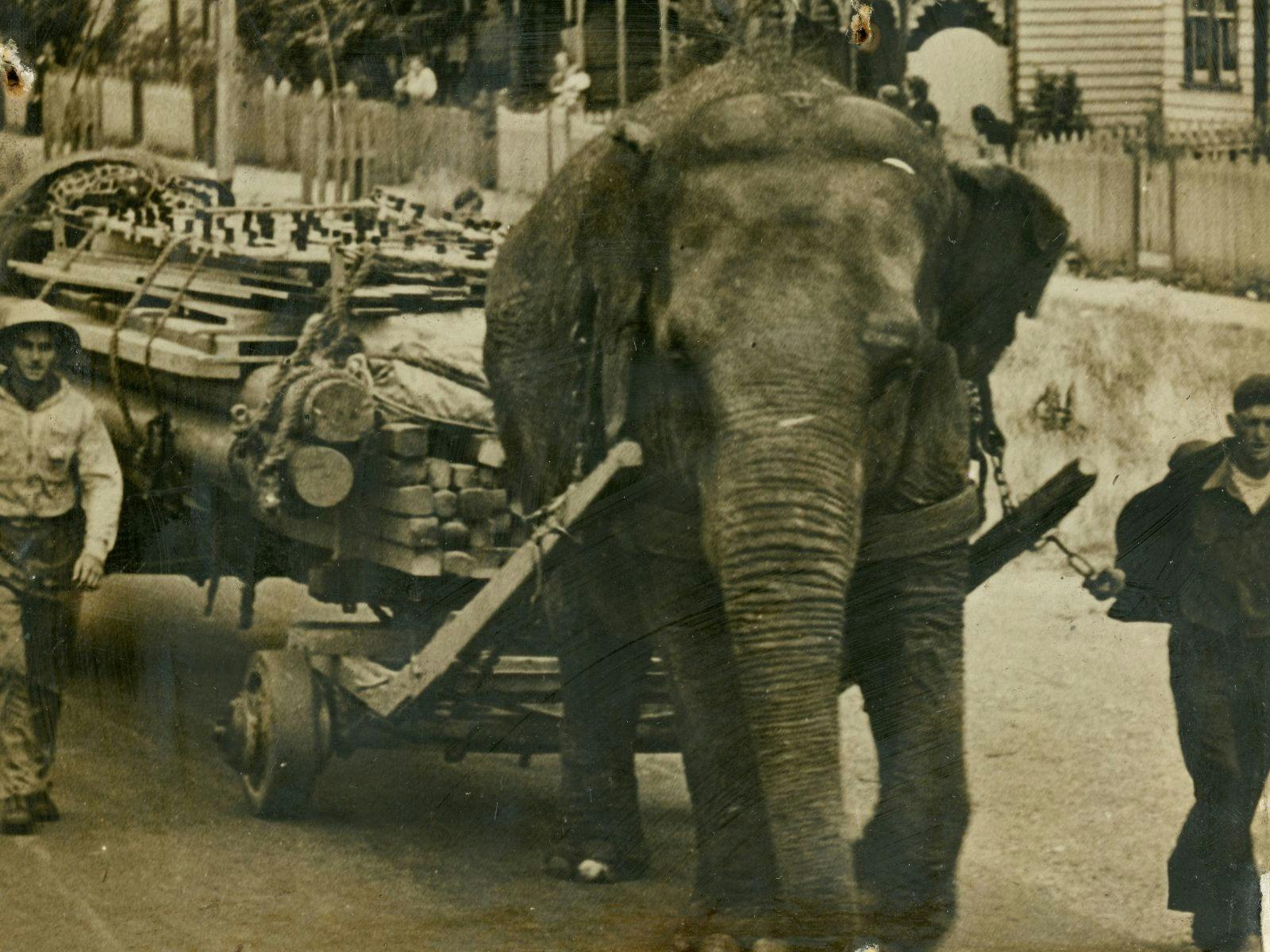 The arrival of the circus always aroused a huge amount of excitement. ment