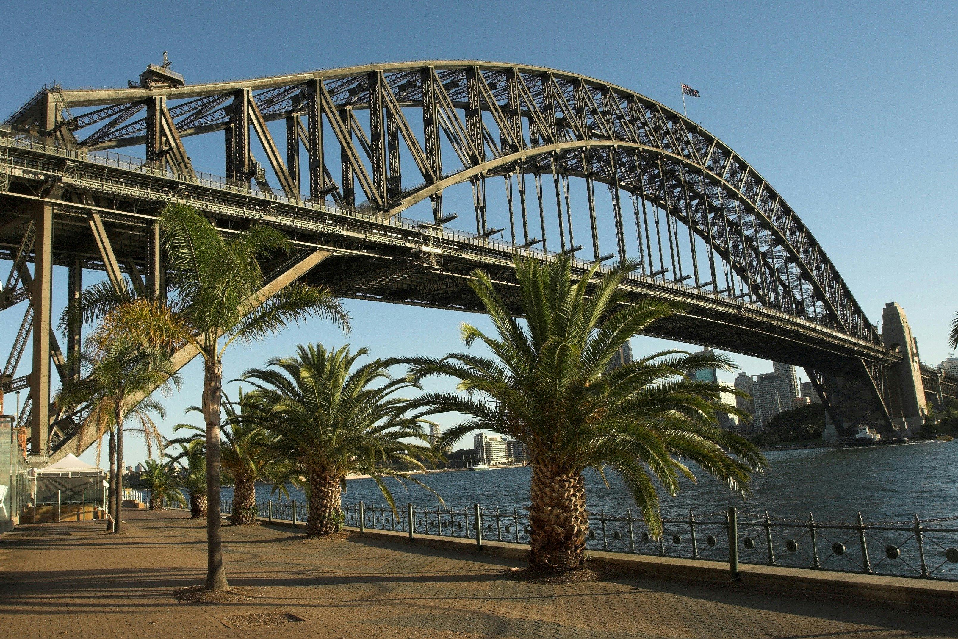 Sydney City and Bondi Beach Half Day Tour