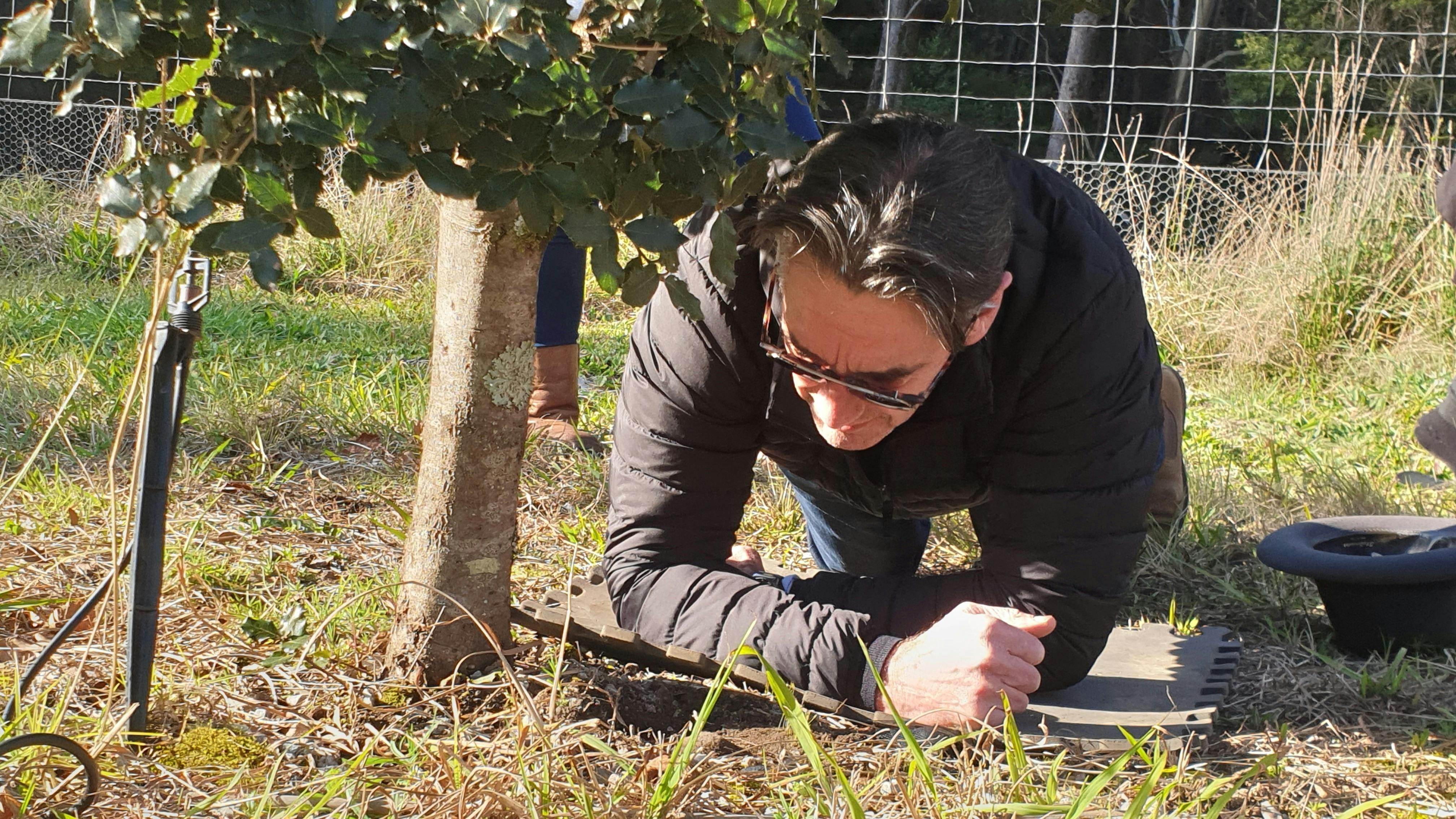 Truffle Hunt - Cobargo