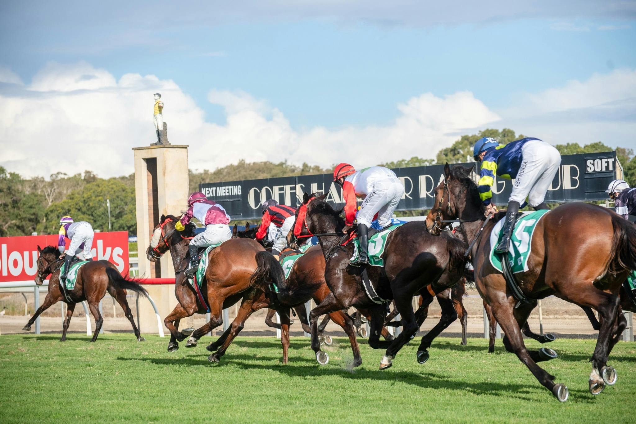 Coffs Cup