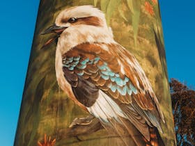 Deniliquin Water Tower Mural