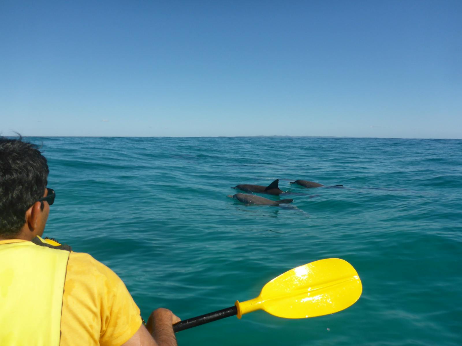 Epic Ocean Adventures