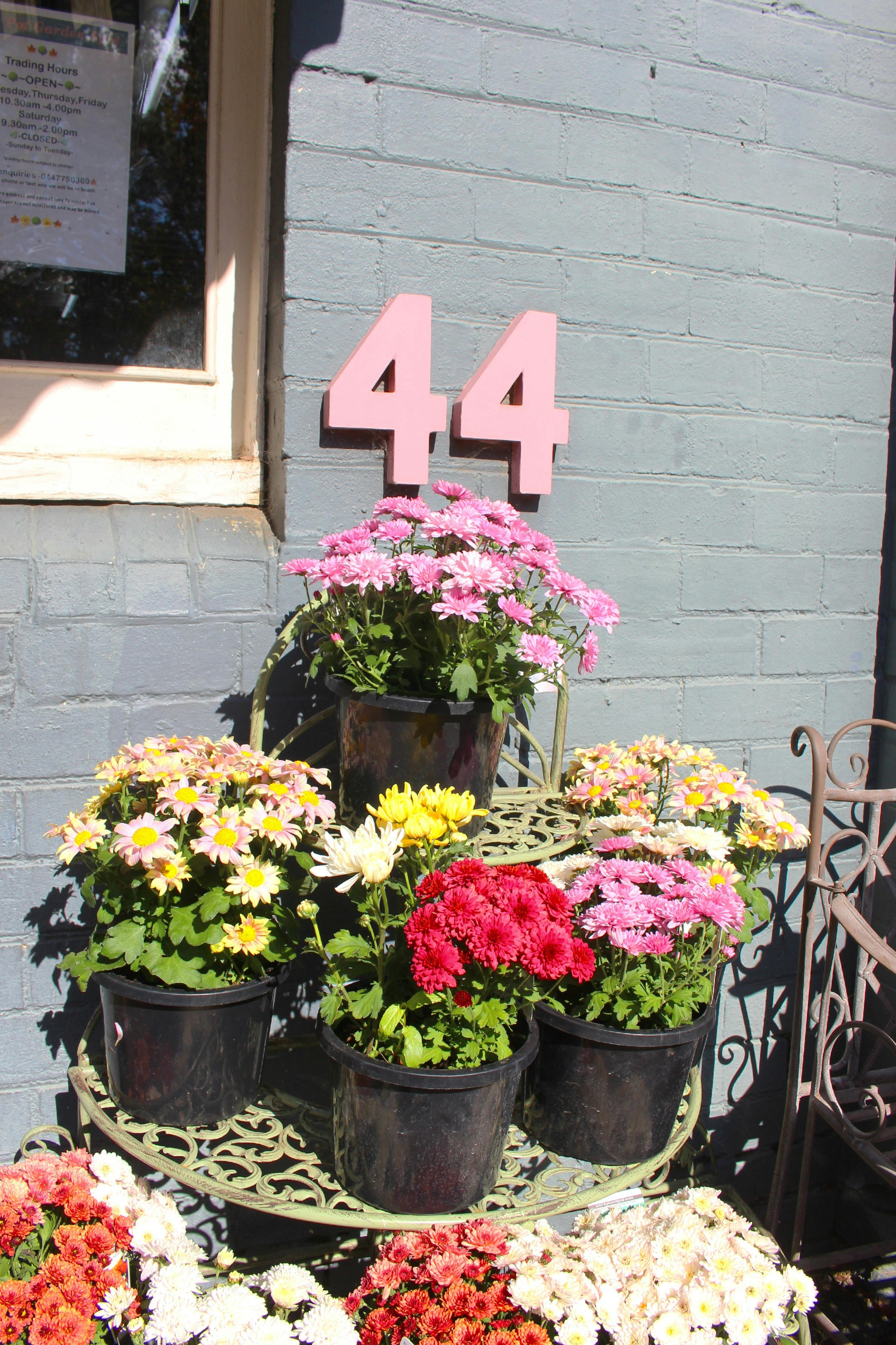 Pink Pot Garden Spot