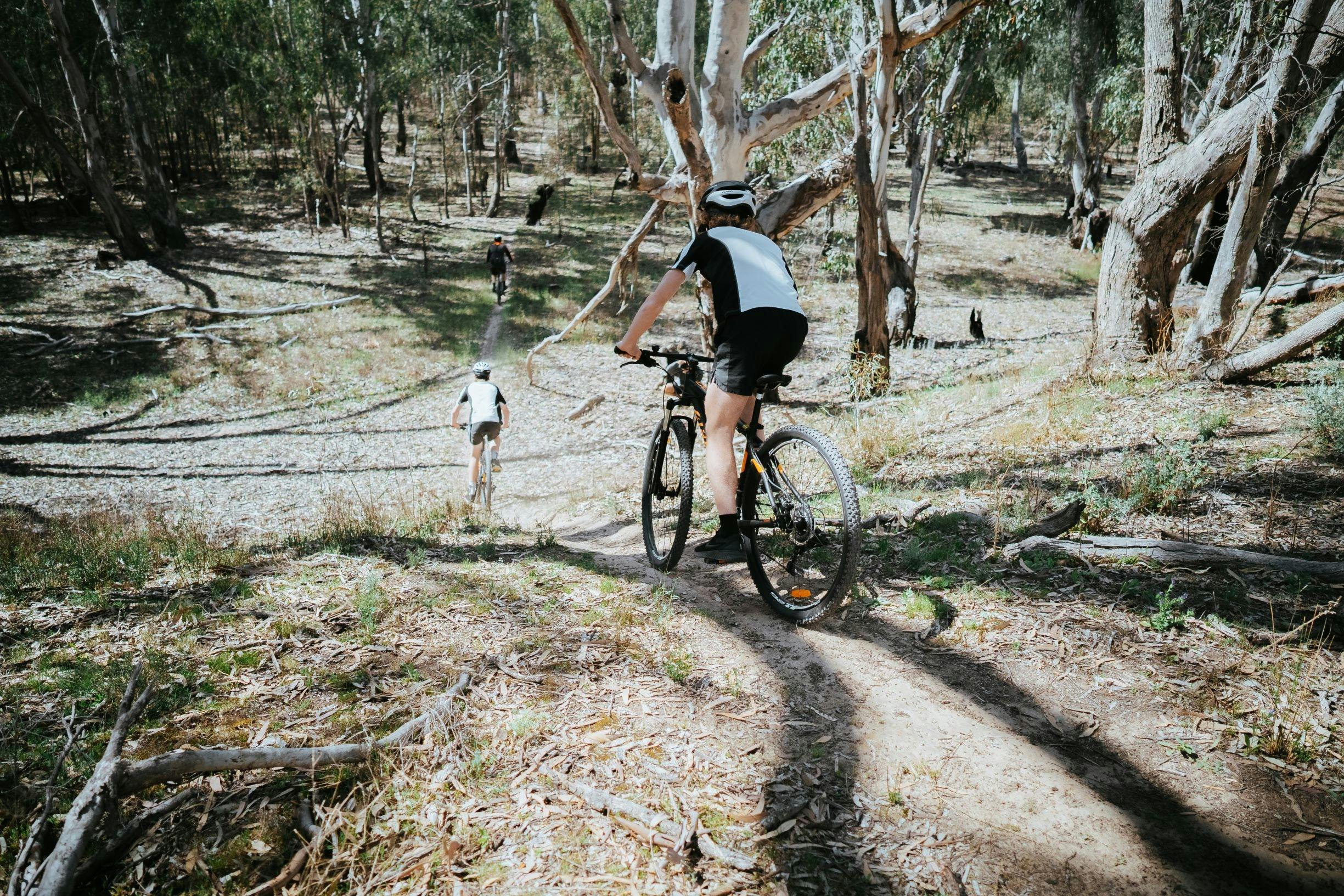 Mountain Bike Trails Murray Valley Regional Park - Deniliquin - Deni - Mountain Biking